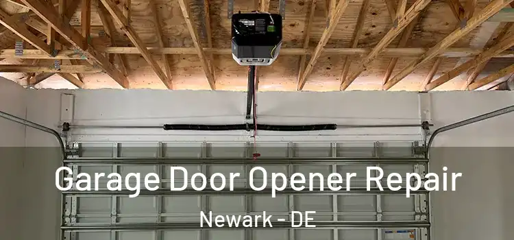  Garage Door Opener Repair Newark - DE