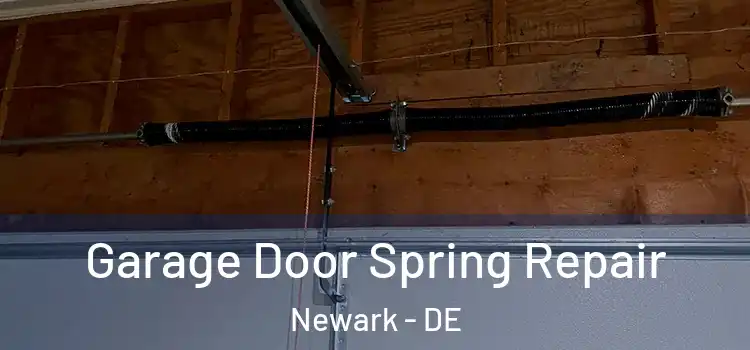  Garage Door Spring Repair Newark - DE