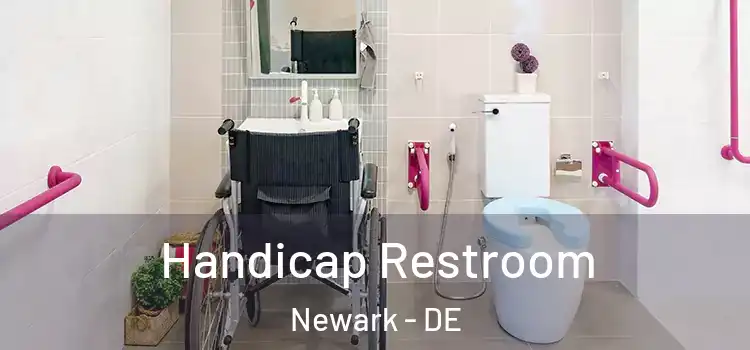 Handicap Restroom Newark - DE