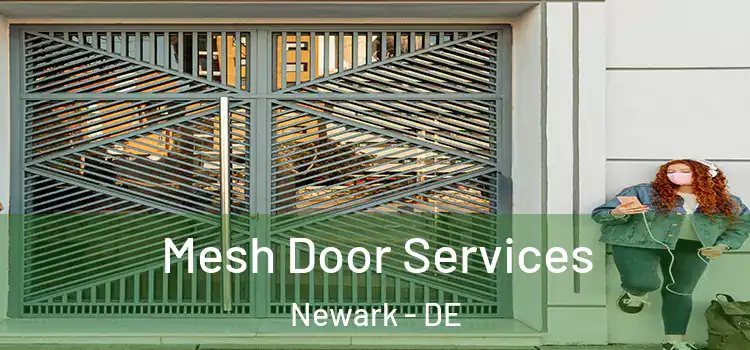 Mesh Door Services Newark - DE