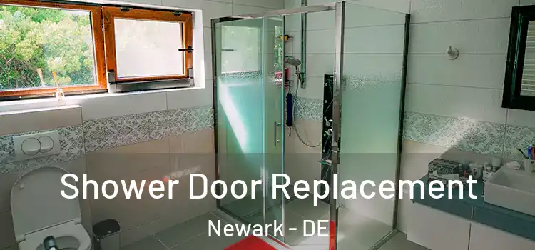 Shower Door Replacement Newark - DE